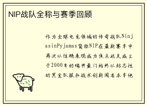 NIP战队全称与赛季回顾