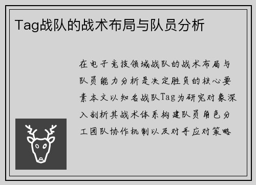 Tag战队的战术布局与队员分析
