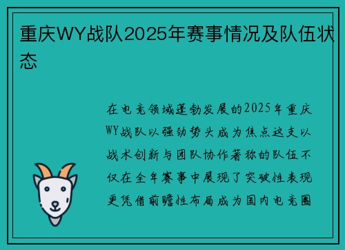 重庆WY战队2025年赛事情况及队伍状态
